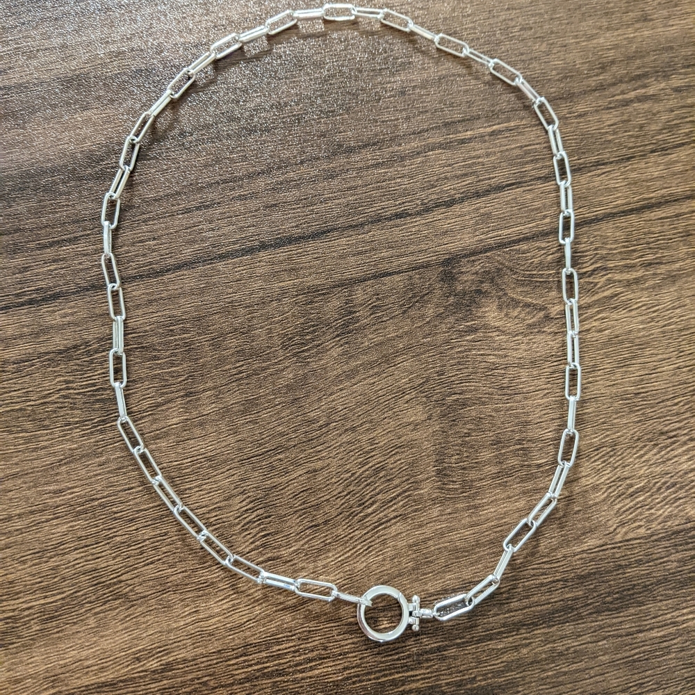 Gorjana Parker Mini Link Necklace